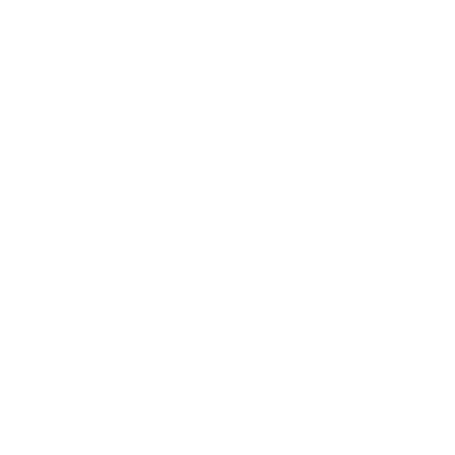 phone_icon